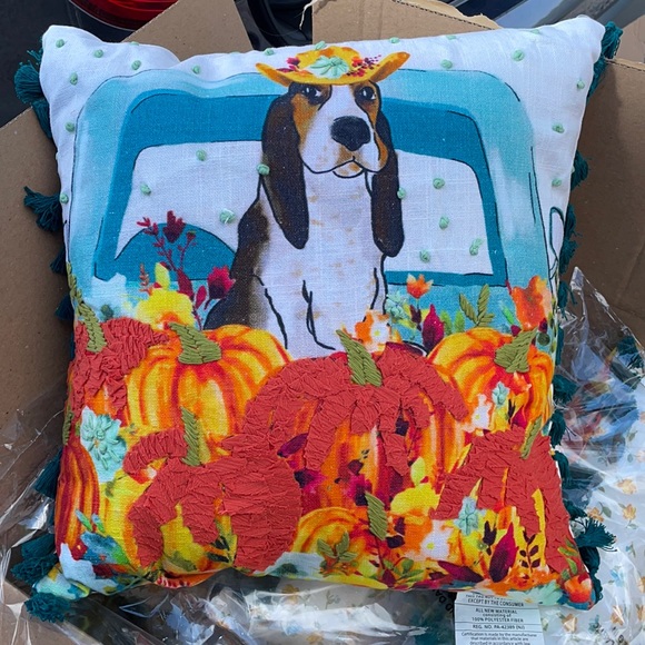 The Pioneer Woman Accents The Pioneer Woman Charlie Pillow Poshmark